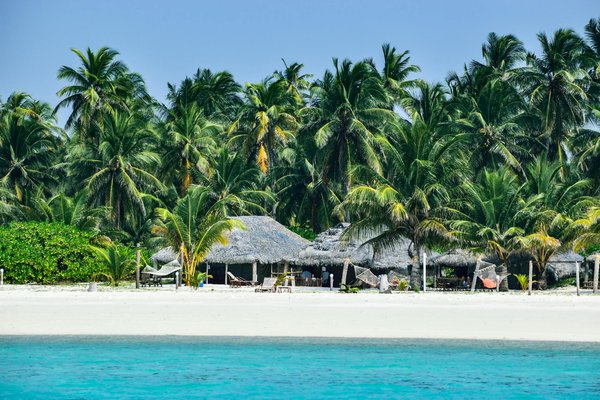 Évadez-vous au camping Borepo : plaisir en pleine nature